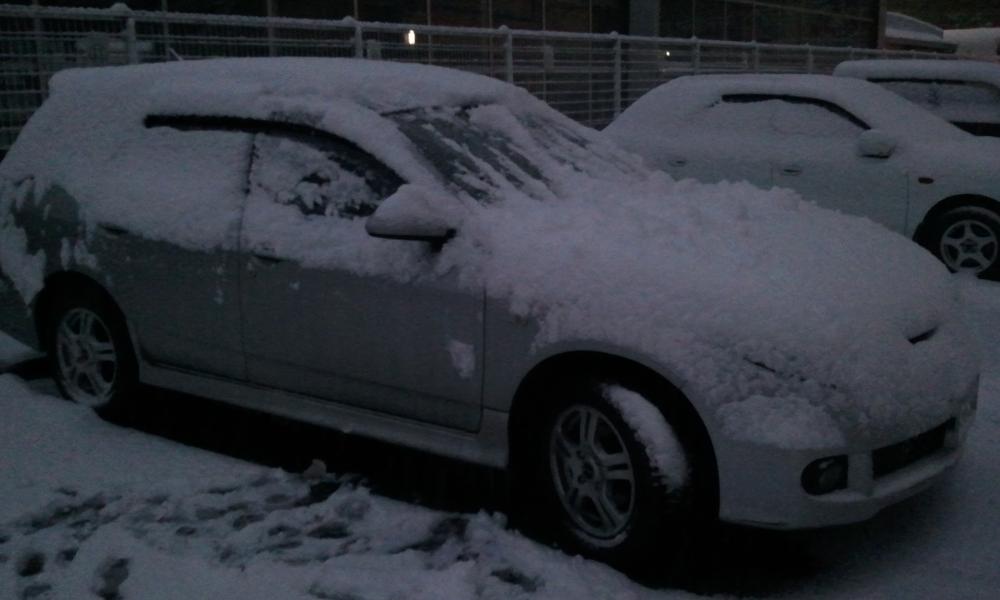 2012-02-09 17.42.50.jpg